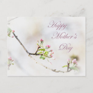 Apple Blossom Muttertag Postkarte
