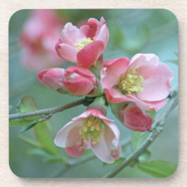 Apple Blossom #P0356 Cork Untersetzer