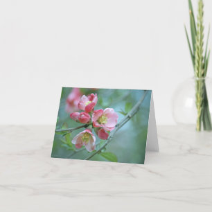 Apple Blossom #P0356 Karte