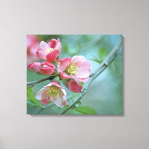 Apple Blossom #P0356 Wrapped Canvas Leinwanddruck