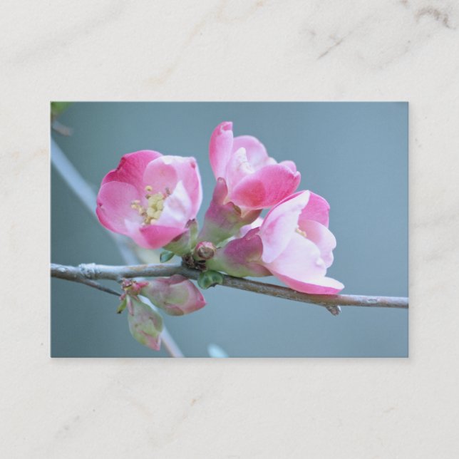 Apple Blossom #P0358 Mini Print Visitenkarte (Vorderseite)