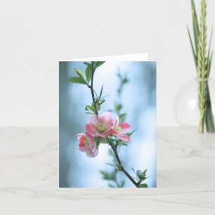 Apple Blossom #P0365 Karte
