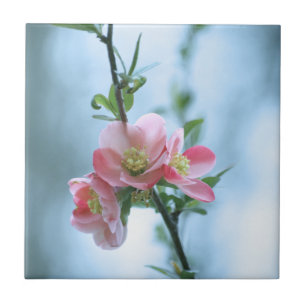 Apple Blossom #P0365 Tile Fliese