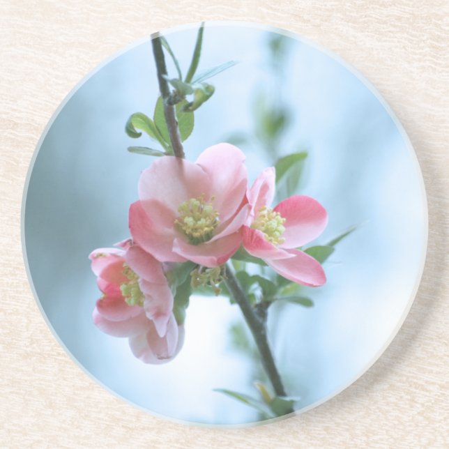 Apple Blossom #P0365 Untersetzer (Vorne)