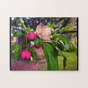 APPLE BLOSSOM PUZZLE