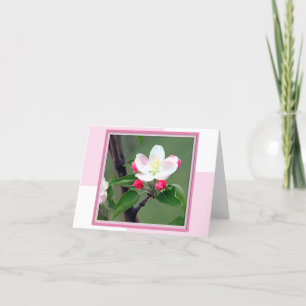 Apple Blossom Spring Note Card Karte