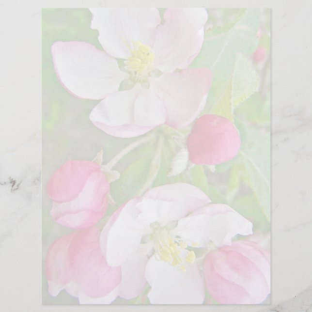 Apple Blossom Time (Vorderseite)
