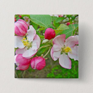 Apple Blossom Time Button