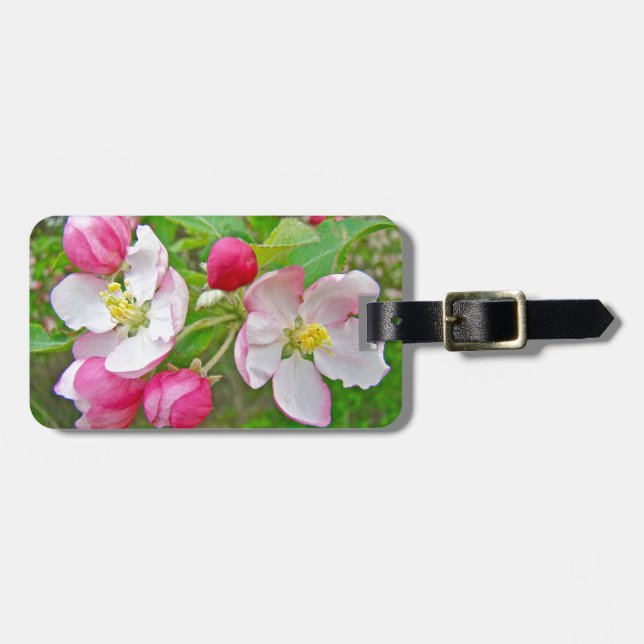 Apple Blossom Time Gepäckanhänger (Vorderseite horizontal)