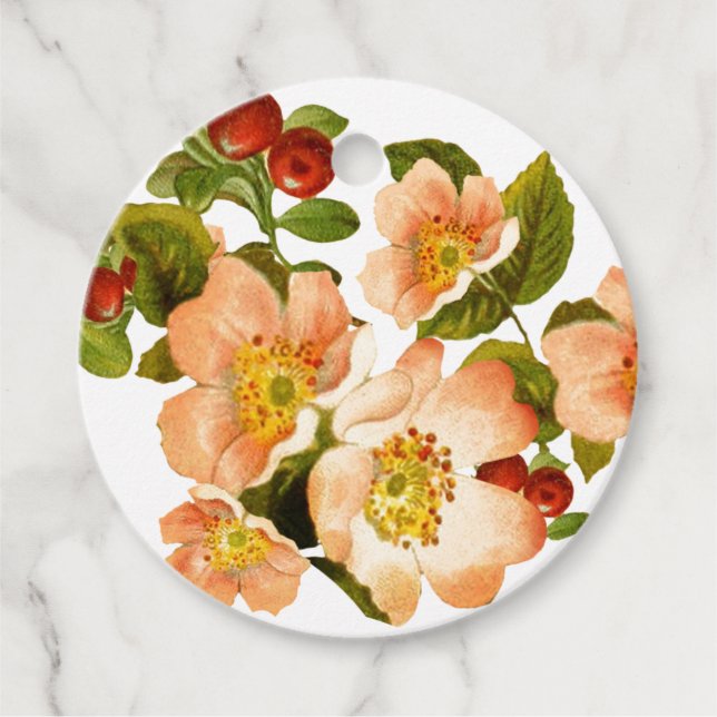 Apple Blossom Wasserfarbenstems Hochzeit Geschenkanhänger (Vorderseite)