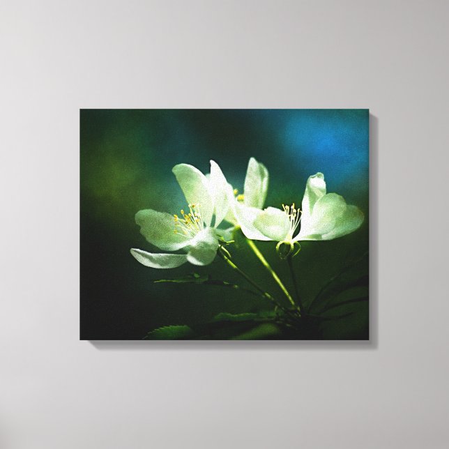 Apple Blossom - zwei Blume Leinwanddruck (Vorderseite)