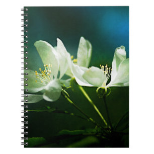 Apple Blossom - zwei Blume Notizblock