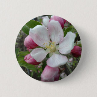 Apple blühen button