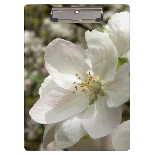 Apple blühen Klemmbrett (Vorderseite)