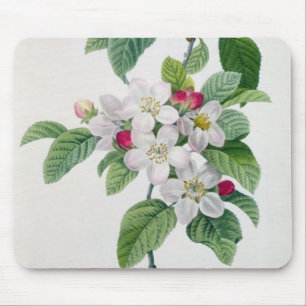 Apple blühen, von 'Les Choix DES plus Schönheiten Mousepad