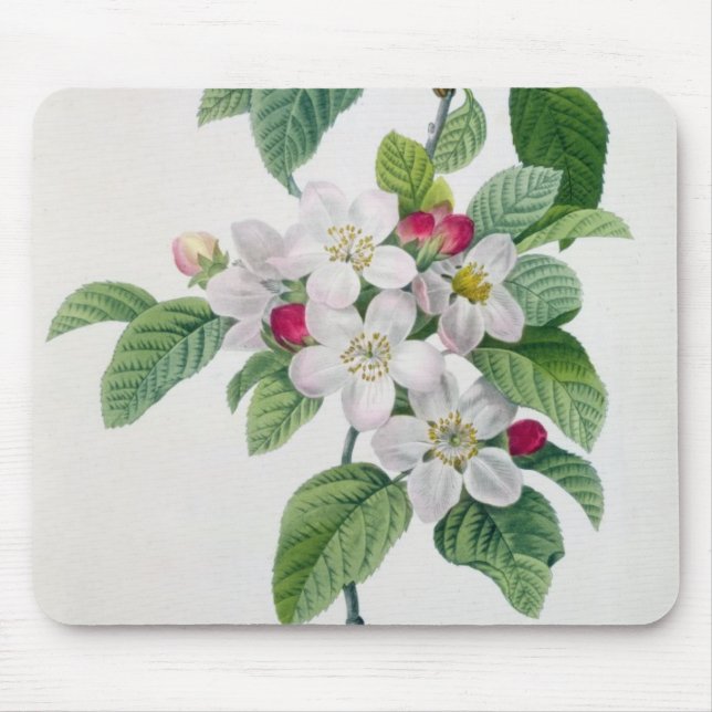 Apple blühen, von 'Les Choix DES plus Schönheiten Mousepad (Vorne)