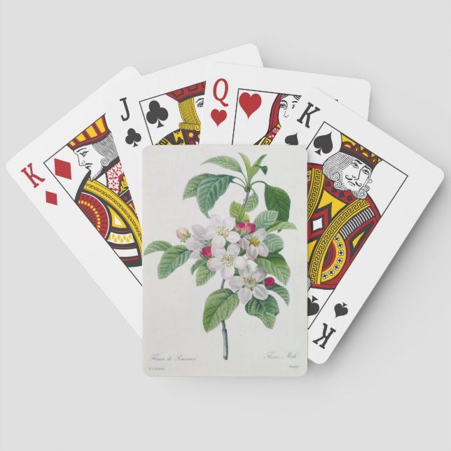 Apple blühen, von 'Les Choix DES plus Schönheiten Spielkarten (Rückseite)