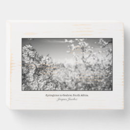 Apple blüht Wall Art Holzkisten Schild