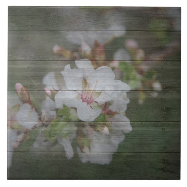 Apple-Blüten und verwittertes Holz Fliese (Vorderseite)