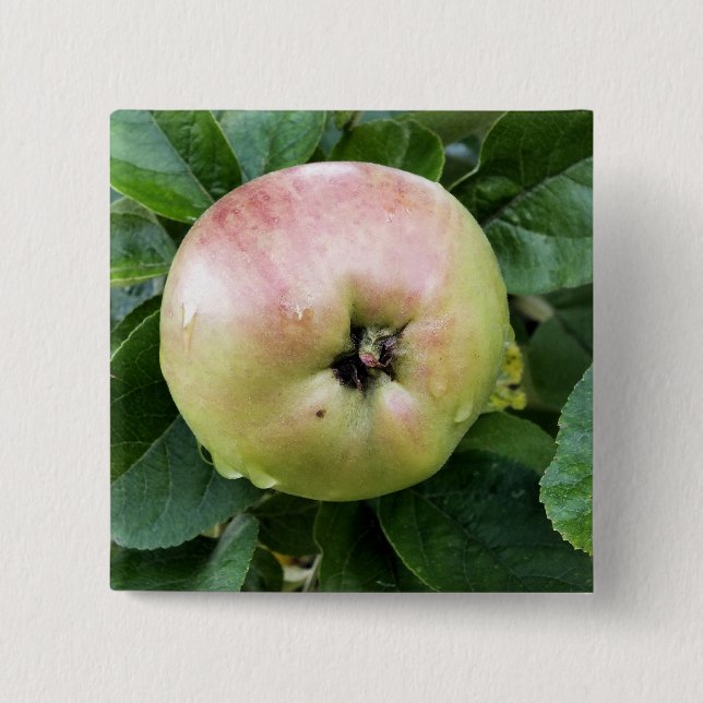 APPLE BUTTON (Vorderseite)