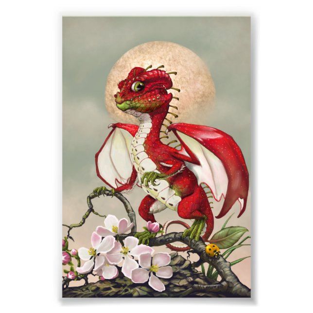 Apple Dragon 4x6 Print Fotodruck (Vorne)