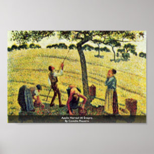 Apple ernten bei Eragny, durch Camille Pissarro Poster