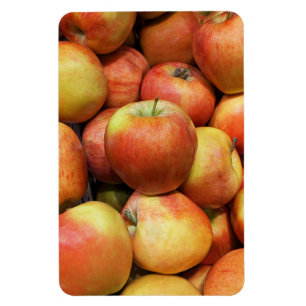 Apple Foto Magnet