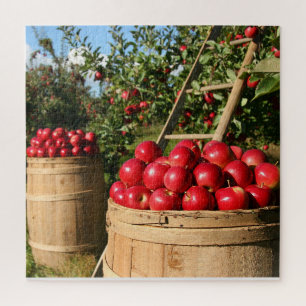 Apple Harvest Puzzle