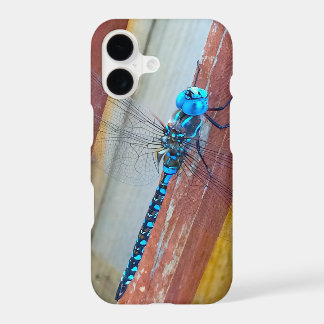 Apple I Phone X Insektenschutz " Libelle Hoch"