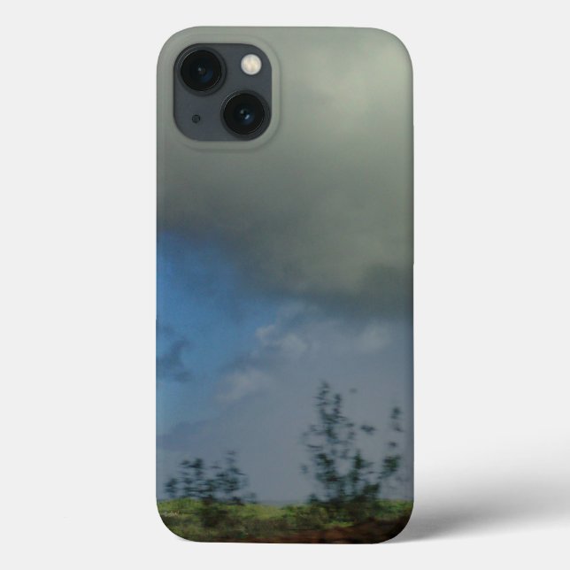 apple iphone13 hülle kunst und design  (Rückseite)