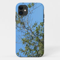 Apple iPhone 11 Gehäuse Stil und Design