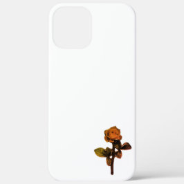 Apple iPhone 12 Pro Gehäuse Art und Design Case-Mate iPhone Hülle