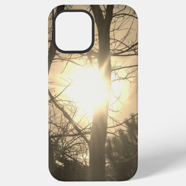 Apple iphone 12 pro max Hülle cool eco Stil (Rückseite)