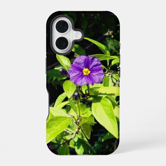 Apple iPhone 16 Hülle Stil und Design (Rückseite)