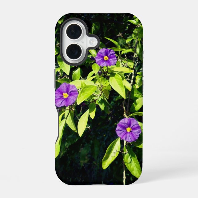 Apple iPhone 16 Hülle Stil und Design (Rückseite)