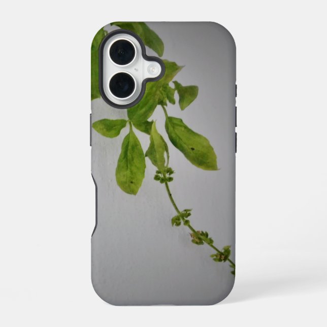 Apple iPhone 16 Hülle Stil und Design (Rückseite)