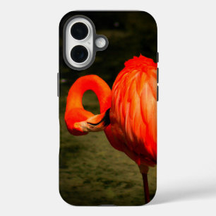 APPLE iPHONE-HÜLLE MIT FLAMINGO-DESIGN iPhone 16 Hülle