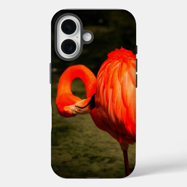 APPLE iPHONE-HÜLLE MIT FLAMINGO-DESIGN Case-Mate iPhone Hülle (Rückseite)