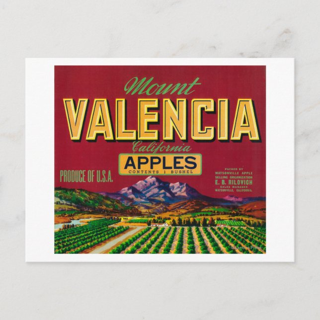Apple Label Mount Valencia - Watsonville, CA Postkarte (Vorderseite)