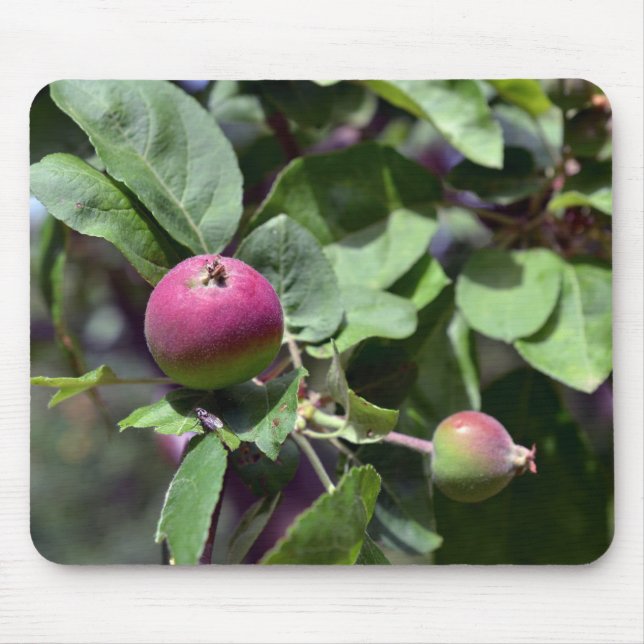 Apple on mousepad (Vorne)