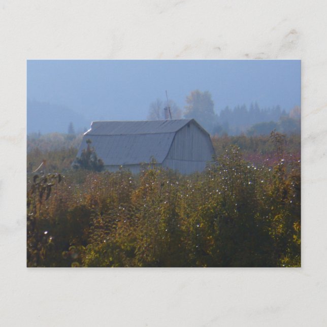 Apple Orchard Barn Postkarte (Vorderseite)