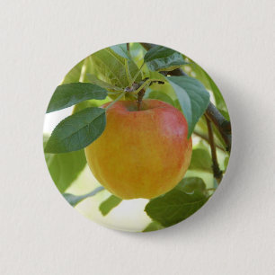 Apple Prima Button