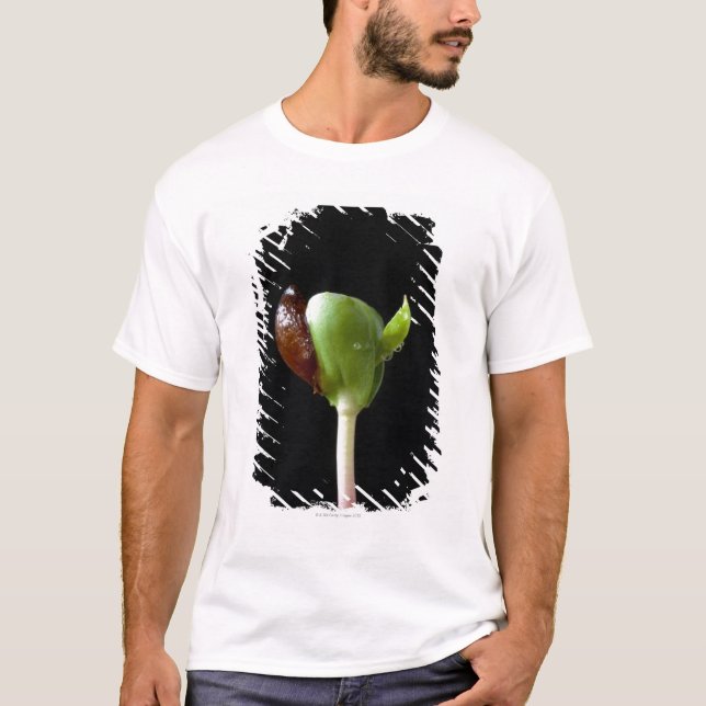 Apple-Sämlinge mit Samen-Muschel T-Shirt (Vorderseite)