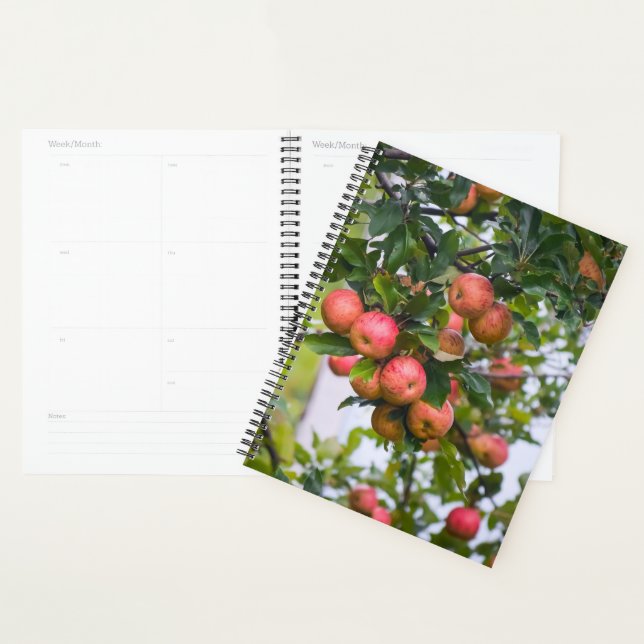 Apple Sauce-Kalender Planer (Anzeige)