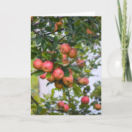 Apple Sauce Rezept Feiertagskarte