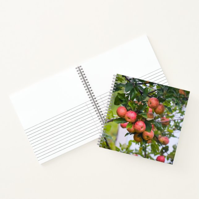 Apple Sauce Rezept Notizbuch (Innenseite)