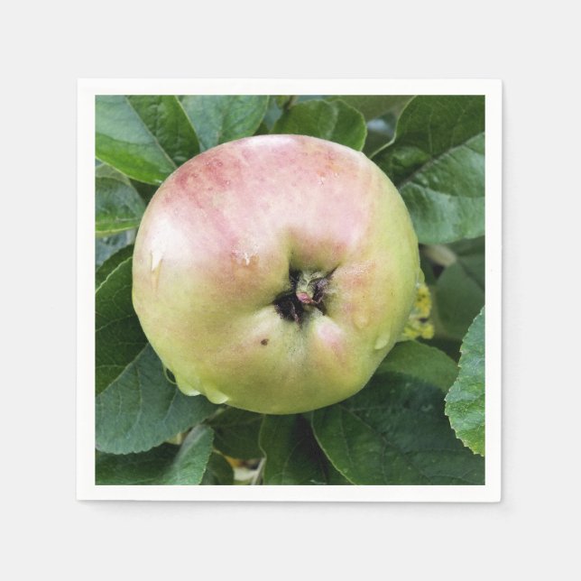 APPLE SERVIETTE (Vorderseite)