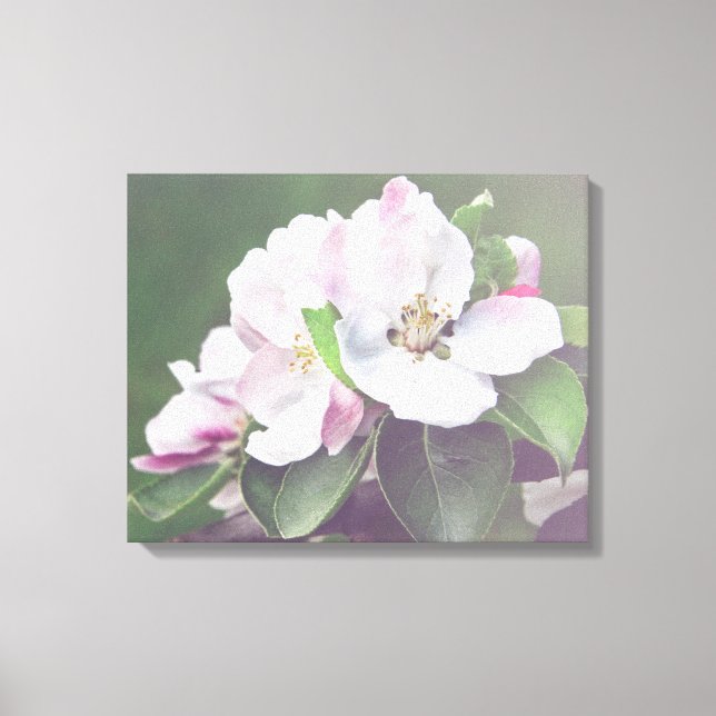 Apple Tree Blossom Spring Leinwand Mauer (Vorderseite)