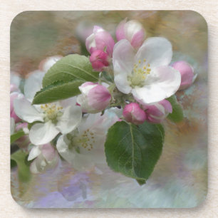 Apple Tree Blüten Untersetzer