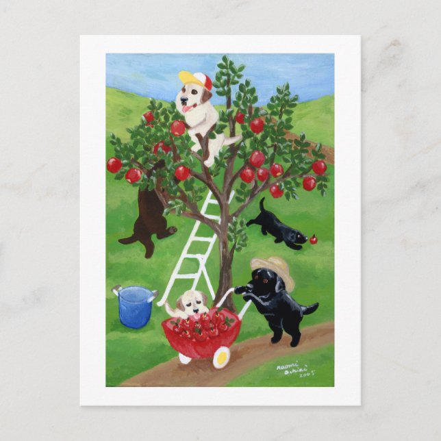 Apple Tree Labradors Postkarte (Vorderseite)